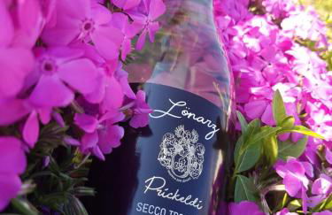 Ferienwohnung Fritzer - Foto 20