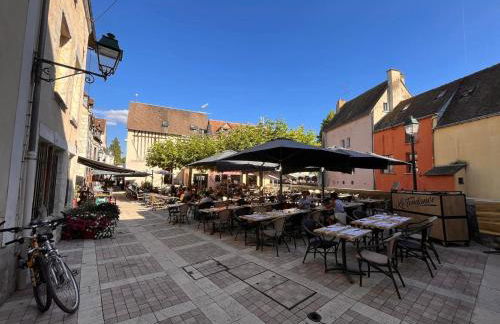 Escale secrète Montargis Jacuzzi Terrasse Parking gratuit - Photo 47