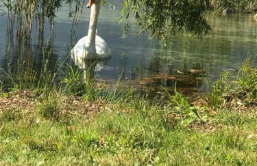 La casa al lago in centro storico - Foto 66