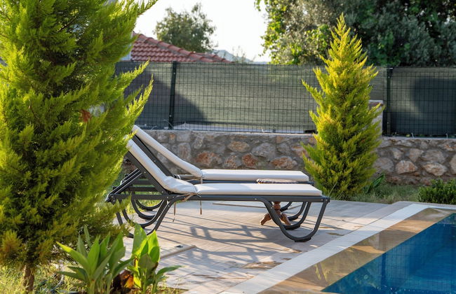 Villa Nirvana Selimiye - Photo 34