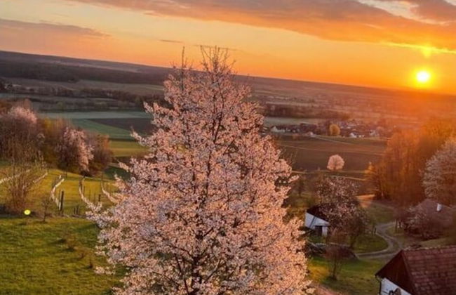 Kellerstockl am Hamerlberg/strem - Foto 19