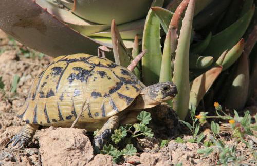 Precioso ático con vistas al mar y la montaña - Foto 31