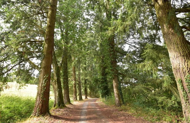 Apartment in Cuzy With Heated Pool - Photo 31