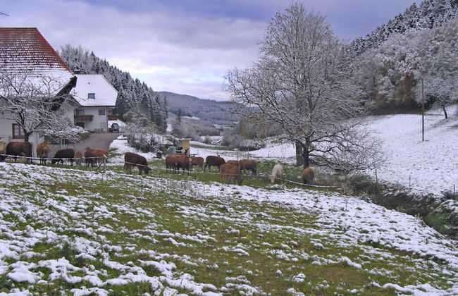 Comfy Apartment in Salmensbach near River - Photo 4