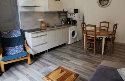 Les Gîtes sous l' Olivier en Camargue - Photo 43