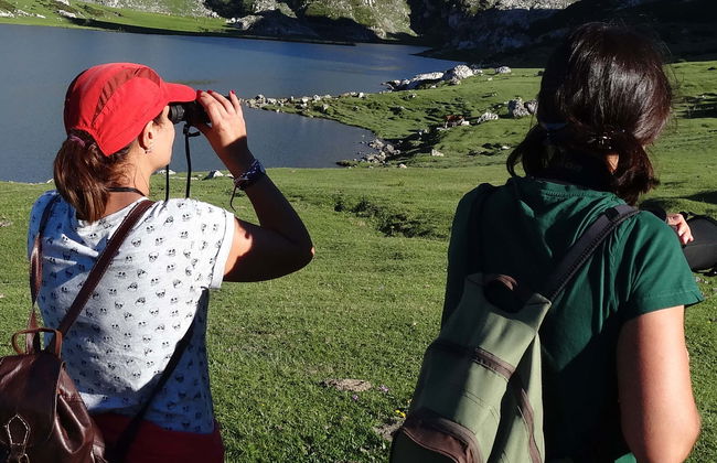 Excursion aux lacs de Covadonga en petit groupe - Photo 10