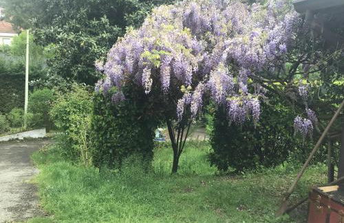 Nel verde house di Rolando - Photo 52