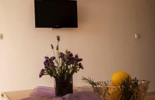 Apartmani Božana Viganj - Foto 23