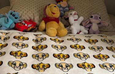 maison luxe disney aeroport tillé 2 a 5 personnes - Foto 10