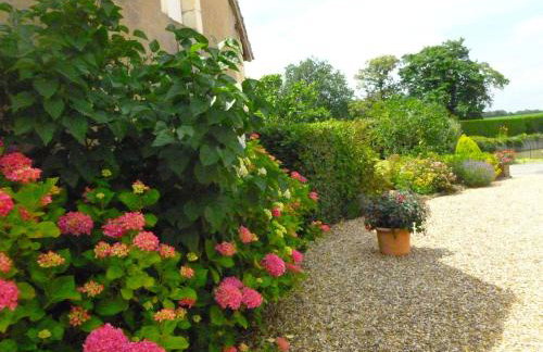 Spacieuse fermette près des châteaux & Zoo de Beauval avec activités et grand jardin - FR-1-591-218 - Foto 5