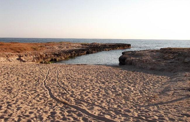 Masseria di Benedetto - Photo 34