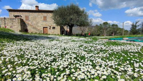 Casale Le Sette Vene - Photo 4