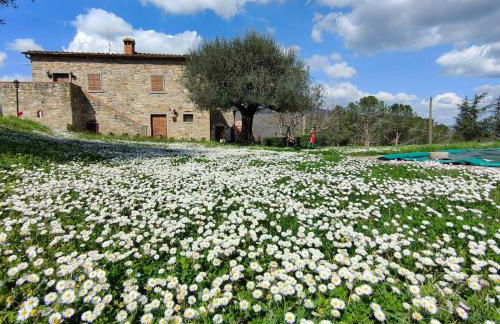 Casale Le Sette Vene - Photo 4