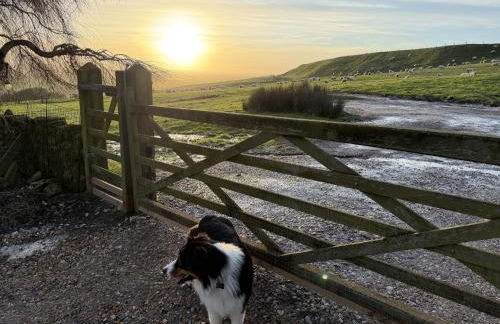 Pooh Corner - Photo 41