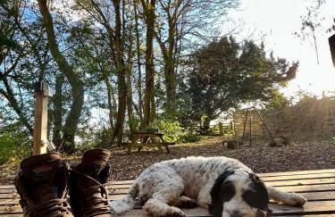 Woodland Cabin Retreat in Alfriston - hot tub - Foto 26