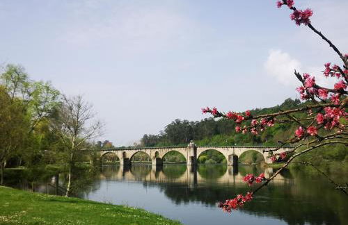 Quinta de Cypriano - Wine & Nature - Foto 120