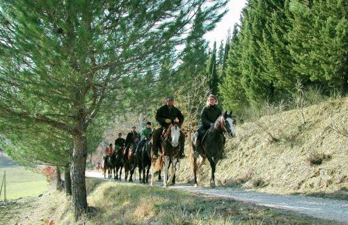 Farmhouse With Stables, Horses and the Ability to Make Horseback Riding - Photo 122