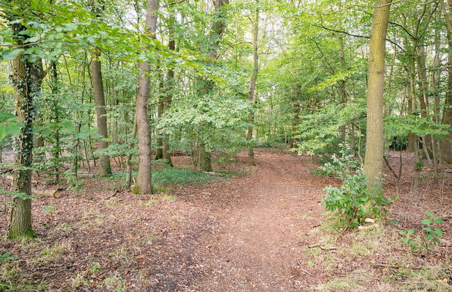 Peaceful Nature Escape in Meijel - Photo 61