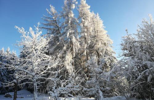Ferienwohnungen Ingrid Alfes - Foto 57