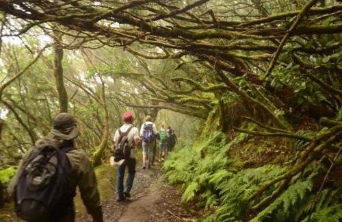 Anaga Tucho Natural Beach House - Foto 40