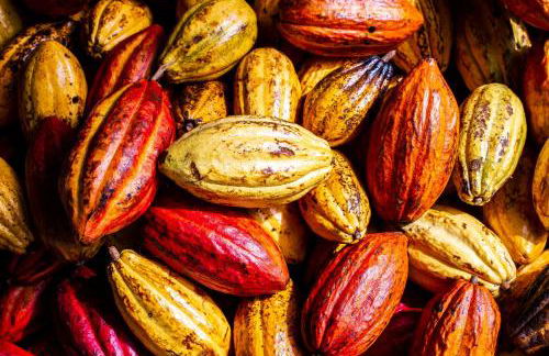 Hawaiian Sanctuary Eco Retreat Center - Foto 38