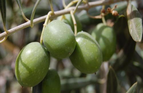 A beautiful 2 persons studio in a chateau with swimming pool - Foto 55