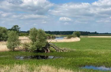 Landliebe Aulosen - Foto 16