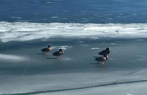 Apartment Ape Maja - Foto 31