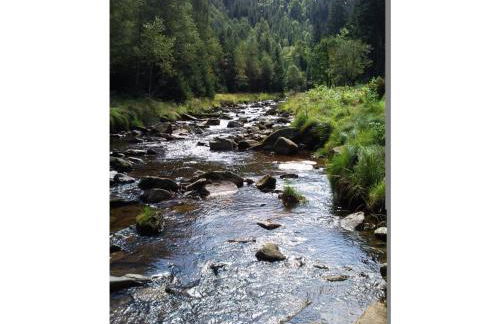 Ferienwohnung Böhme - Photo 15