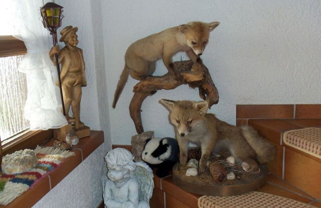 Holiday Apartment Schupp - Foto 23