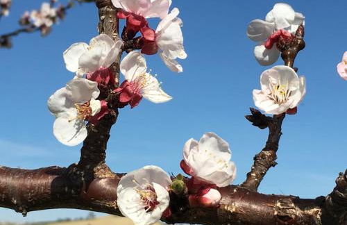 Casa Belfi - Foto 33