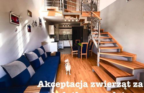 My Universe Mezzanine Apartment Tęczowe Wzgórze - Photo 7