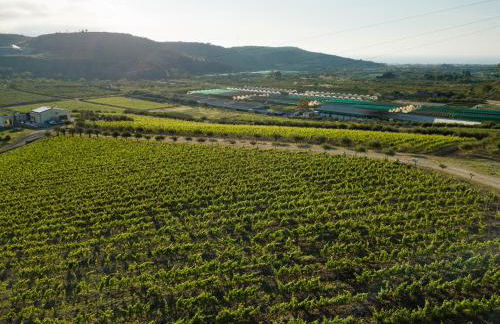 Chalet Tenuta Lacco - Foto 26