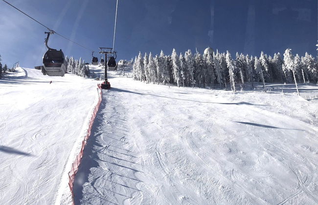 Wohnung in Lohberg Nahe Arber Skipisten - Foto 61