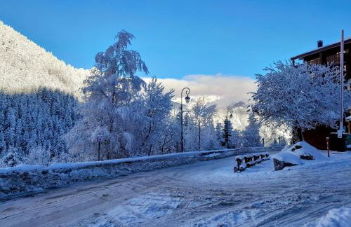 Magnifique studio au pied du télécabine d'Arrondaz et des pistes de ski - Foto 2