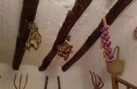 Casa Elina Lucena - Foto 6