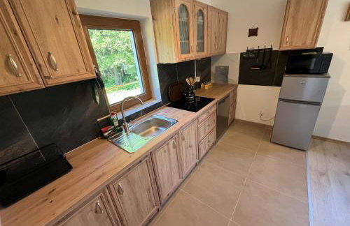 Górska Polana, Stronie Śląskie - Młynowiec - Foto 9