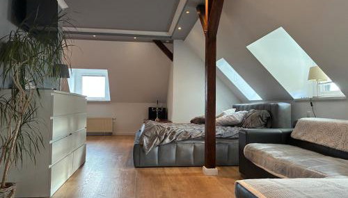 Attic apartment in a listed villa - Foto 3