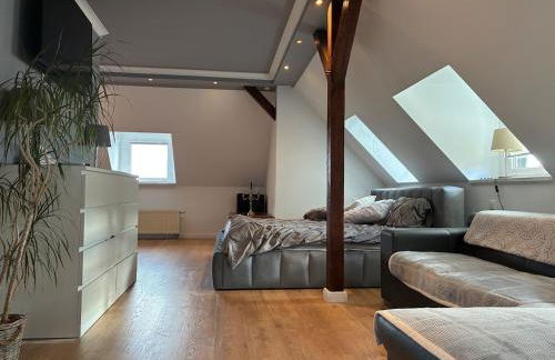 Attic apartment in a listed villa - Foto 3