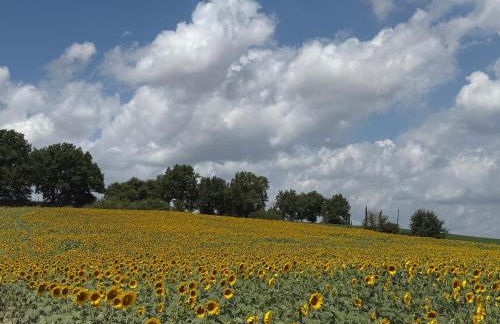 Casa delle More - Foto 10