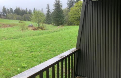 Charmant F2 bis 5 pers. au Mont-Dore avec parking, proche des pistes - FR-1-415-174 - Foto 11