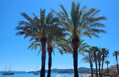 Location appartement au lavandou - Foto 12