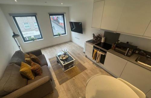 JVL Nice Cosy 1BR Flat Purley, London - Foto 15