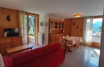 DOMUS ALPINA - Foto 9