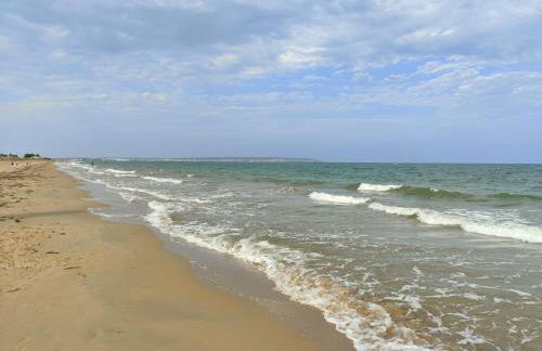 House with solarium - Foto 31