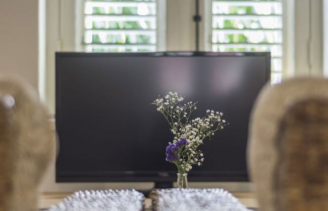 Pietermaai Caribbean Vibes - Foto 8