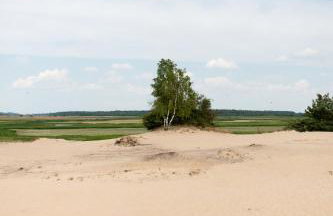 Agroturystyka Karpińscy - Foto 27