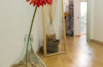 Villa Capri Apartment and Room - Photo 79