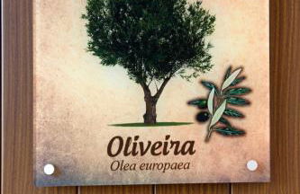 Moinhos do Pisão - Foto 42