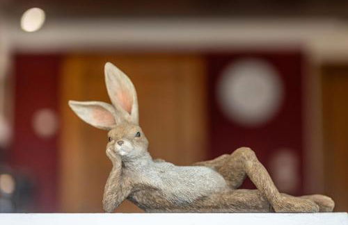 Ferienwohnungen Zum Hasenbahnhof - Foto 57